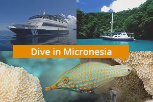 Dive in Micronesia